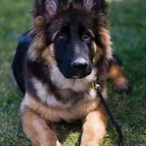 Meet your Posher, Aida